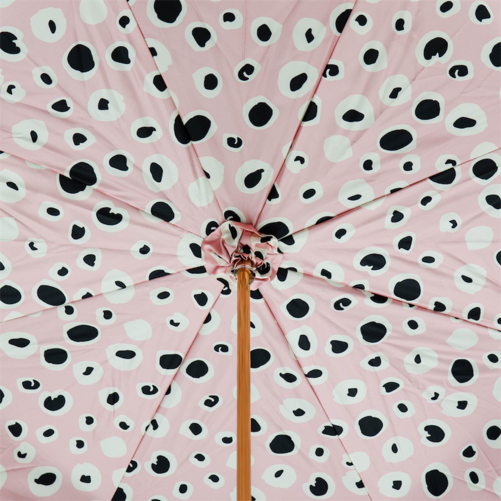 0f1fa36f933ec4ad5af64a6478b962a5